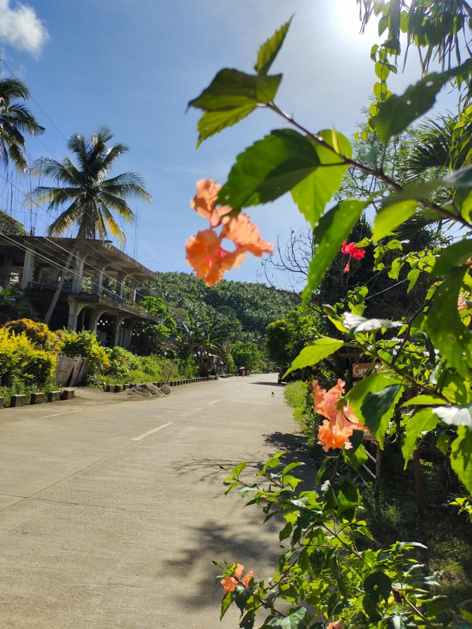 Romblon Reggae Vibes Bali Inspired Cottage מראה חיצוני תמונה